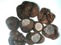 Sell freshe truffles