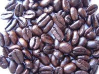 Sell Roasted Coffee Beans.