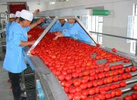 Sell Apple processing line