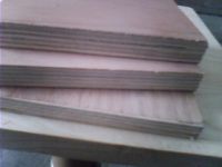 Sell plywood and film faced plywood
