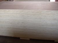 Sell okoume plywood