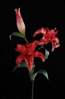 Sell artificial lily flower