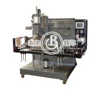 Heat Transfer Printing Machine for Plane