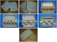 Sell pulp egg box