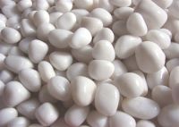 Sell snow white polished pebbles