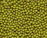 Sell Green mung beans