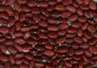 Sell red kidney beans