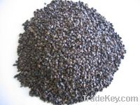 Sell buckwheat