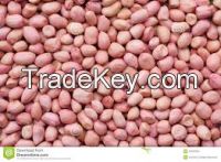 Raw groundnut/ groundnut kernel