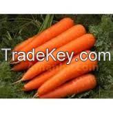 selling carrot vegetables