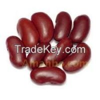 sell kidney beans natural