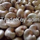 selling cashew nut kernels