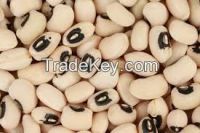 selling black eye beans