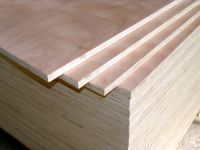 Sell Plywood