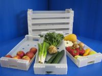 Sell corrugated plastic packaging box