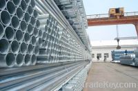 Sell galvanized steel scaffolding tube
