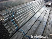 supply galvanized steel pipe