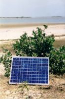 Sell solar panel 180watt (monocrystalline , 125mm)