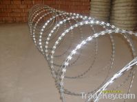 Sell galvanized concertina wire
