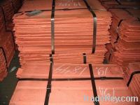 Selling Copper Cathode / Copper Wire