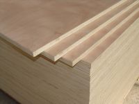 Sell  Plywood