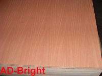 Sell Commercial Plywood (NO. 27)