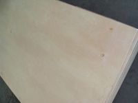 Sell E/F Grade Birch Plywood