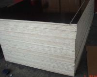 Sell Concrete Plywood