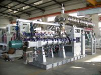 Single and twin screw wet extruder machine for making floating fish feed pellets