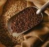 Caffe arabic grains