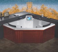 LCD TV bathtub