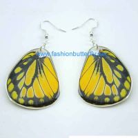 Fashion Butterfly Jewelries