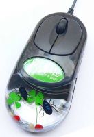 real insect amber computer mouse--blue leaf beetle& lucky clover