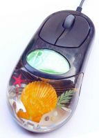 Novel Real Sea Life Amber Computer Mouse