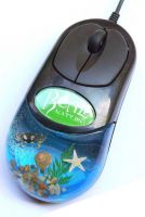 Real sea life amber computer mouse--