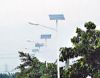 Sell solar street light& solar street lighing system