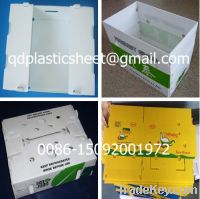 Corrugated Plastic Box for Fruits and Vegetables