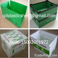 Plastic Corrugated Packaging Box / Container