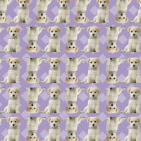 Yellow Lab All Occasion Gift Wrap