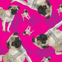 Pug All Occasion Gift Wrap