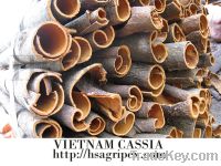 Sell cassia (cinnamon)