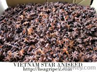 Sell Vietnamese star aniseed (Vietnamese star anise)