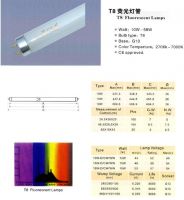 Sell  T5 fluorescent tubes and T8 and others
