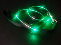 Sell LED flashing Dog Leash / Lead