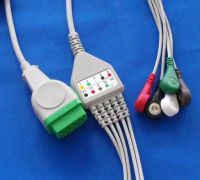 Marqutte ECG cable and ledwires