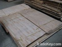 EUCALYPTUS SHORT CORE VENEER