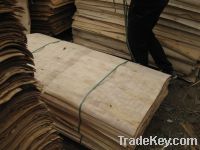 Sell CORE VENEER