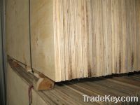 PLYWOOD FOR PACKING