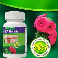 Sell Weight Loss Capsule, P57 Hoodia Cactus Weight Loss Capsule