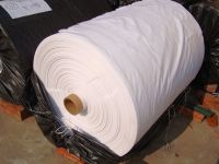 Sell PP sheeting